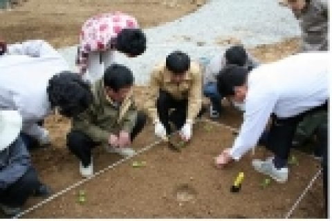 <실습교육 - 텃밭채소 가꾸기>