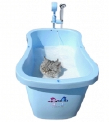 고양이 입욕 사진