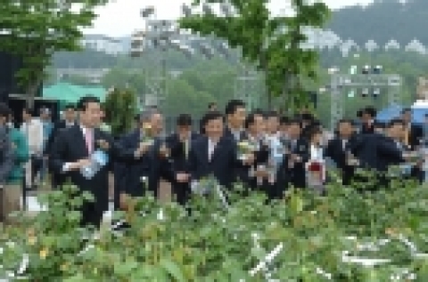 나비 1천여마리를 날리는 이벤트