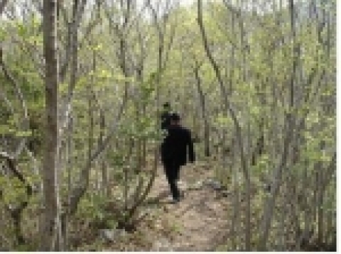 나방산 등산로