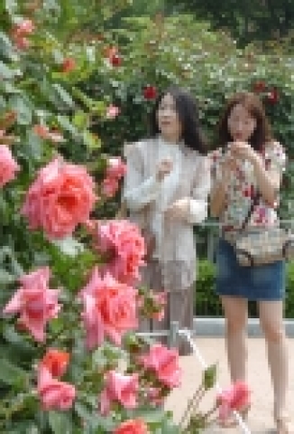 조선대학교 개교 60주년 기념 ‘제4회 장미축제’
