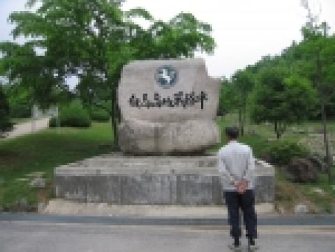 백마고지
