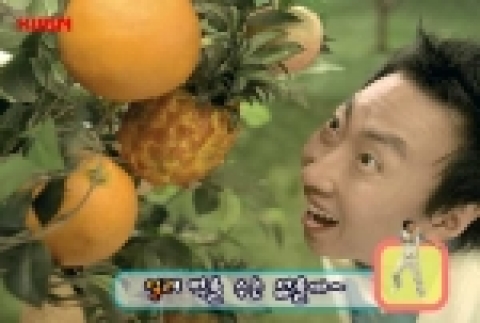 CF 이미지