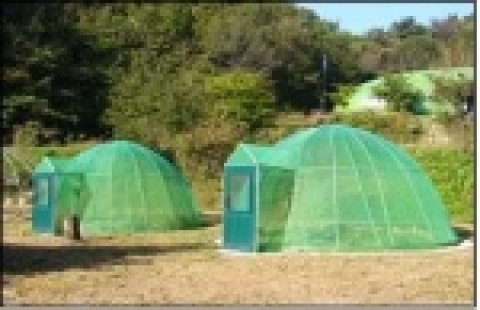 Field Cage(3평)-환경부 지정 멸종위기종을 집중적으로 종 수준에서 연구 및 증식