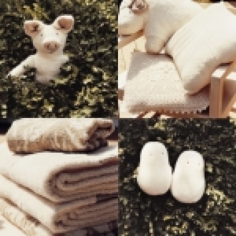 '오가닉 코튼' 이미지