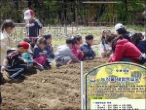  농작물 체험 현장