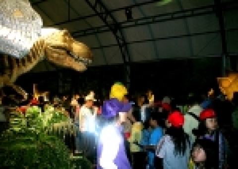 사진설명 : 2006년 5월 61기 2006 고성공룡엑스포 탐방 사진