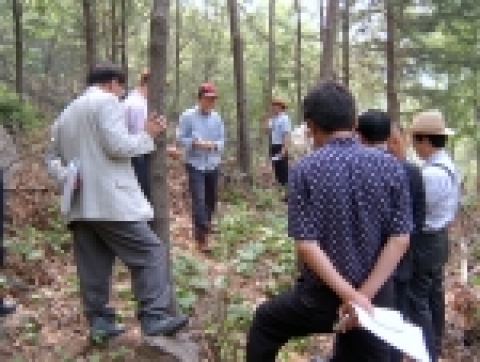 부여국유림관리소, 산림복합경영모델림 현장토론회 개최