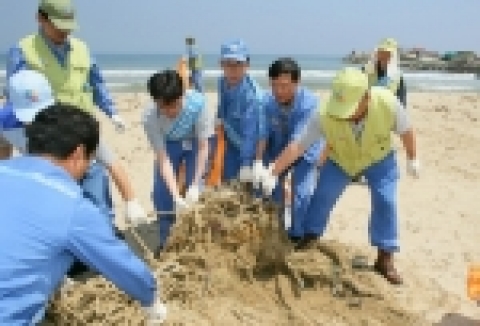 포항제철소 직원들과 해병대 1사단, 포항지방해양수산청 직원 등 1,500여명이 참가한 ‘민,관,군이 함께하는 바닷가 대청소 행사’가 9일 포항시 북구 흥해읍 용한리 일대 바닷가에서