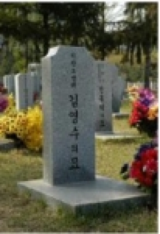 ’04. 3. 31 고성산불 현장 출동중 차량 전복사고로 순직한 故 김영수 소방위 묘소(대전 국립현충원)
