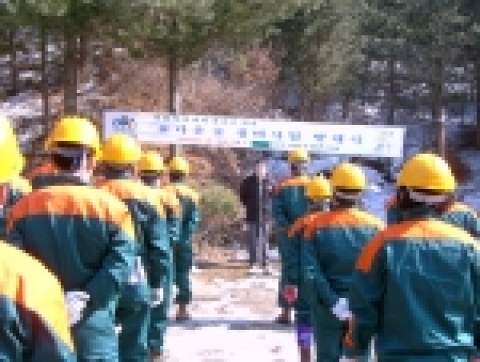 춘천국유림관리소 숲가꾸기 참여 희망자 25명 모집