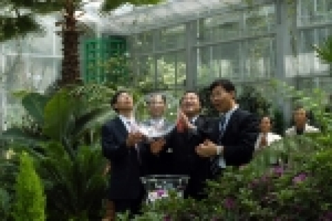 ‘2006마리 나비 날리기’ 행사하는 모습