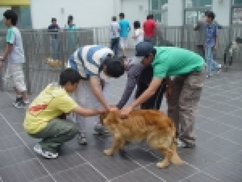 부산정보대학 애완동물관리과는 구포중학교 2학년에 재학중인 학생 30여 명을 초청하여 애완동물 관련 다양한 직업세계를 소개하는 프로그램을 가졌다.