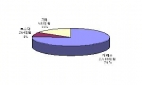국내 의약품산업체의 전자공시시스템 등록구분별 연구개발 투자액 분포(2004)