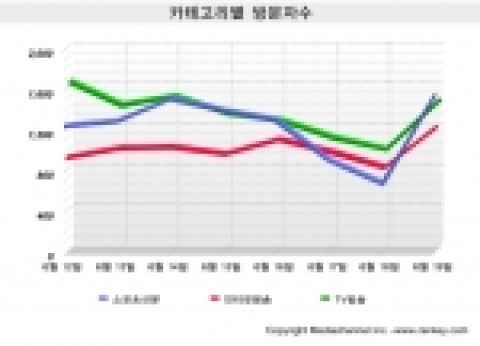 월드컵 기간에 들어 방문자수가 증가한 분야와 줄어든 분야에 대해 웹사이트 분석 평가 전문 랭키닷컴이 분석 결과
