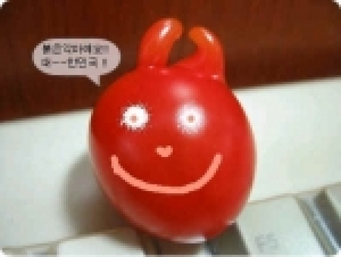 다음 포토툰 게시판에 'tomato'님이 올린 UCC-붉은악마 토마토