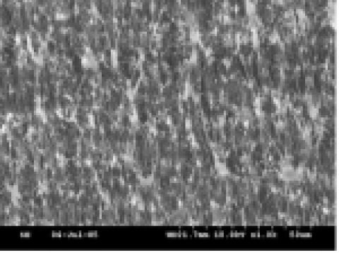 개발된 PTFE membrane 구조의 전자 현미경 사진.