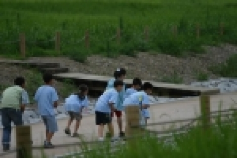 7월 공원프로그램