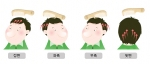 올바른 빗질 방법입니다. 제대로 된 빗으로 제대로 빗질 하세요.