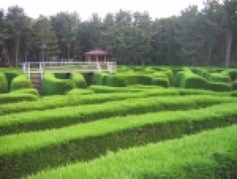김녕미로공원