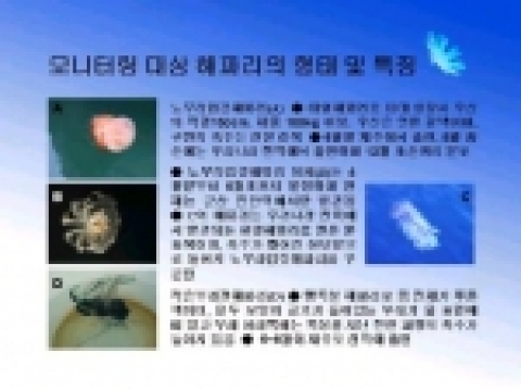 해파리 모니터링 지침