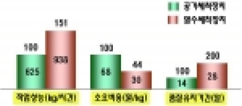 착색단고추 경제성분석 및 성능효과