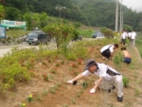 꽃길 조성에 참여하고 있는 산림항공관리소 직원과 지역민들