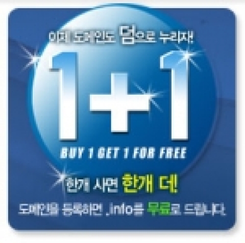 닷네임코리아에서 진행중인 .info 무료등록 이벤트