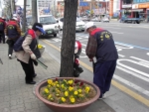 부평지역에서 활동하고 있는 자원봉사자