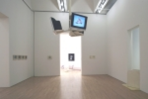 삼성전자는 샌프란시스코 근대미술관에서 열리는 세계적인 아티스크 '매튜 바니'의 전시회에 LCD, PDP 모니터 등을 후원하는 문화마케팅을 펼친다.