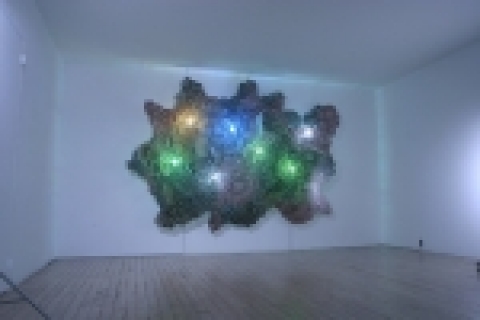 Expansions, 영화필름, 아크릴, 조명, 가변크기, 2006