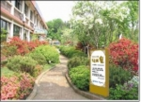 이천 송전초등학교 학교숲 모습