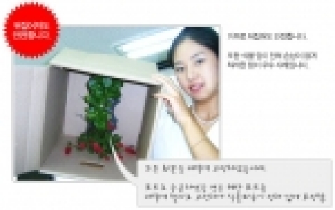 10개월동안 누적판매량이 10만개를 돌파한 쇼핑몰이 있어서 이슈가 되고 있는 식물 전문 판매사이트심폴(http://simpol.co.kr)