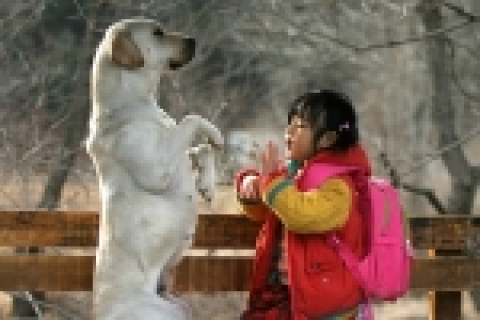 영화 <마음이…>