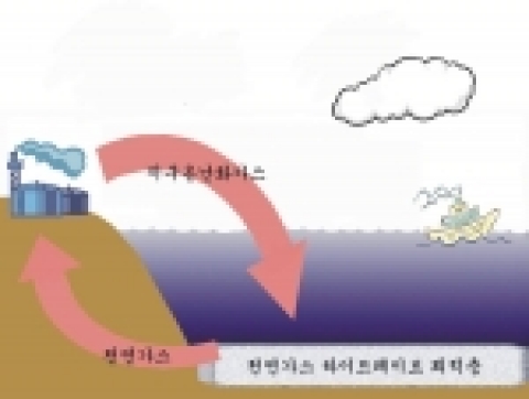 맞교환 원리. 지상의 온난화 배기가스를 모아서 깊은 바다 밑에 있는 천연가스 하이드레이트층에 저장하고 동시에 맞교환을 일으켜 천연가스 하이드레이트층으로부터 천연가스를 회수한다. 