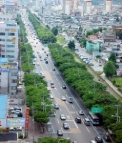 대남로숲