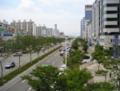 시청로숲