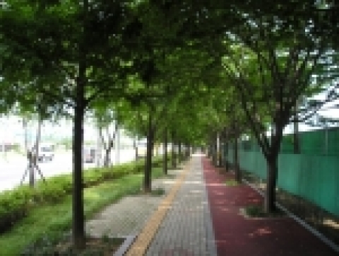 기아로숲
