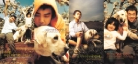 영화 <마음이…> 이색홍보 전단물
