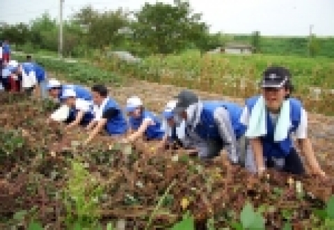 삼성네트웍스 신입사원 34명은 24일 회사의 1사 1촌 자매마을 중 하나인 충청남도 예산군 원천리를 찾아가 농촌마을 일손돕기 행사를 벌였다.