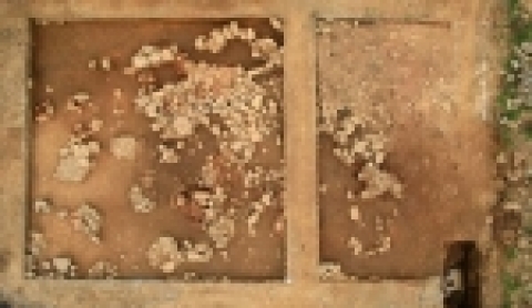 호로고루 초석건물지 전경