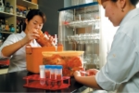 한국식품연구원 전통식품연구본부 이명기 박사팀은 명지대학교 서주원 교수팀과  바이오그린21 지원사업으로 에스아데노실메싸이오닌(S-adenosylmethionine (SAM)) 생성량