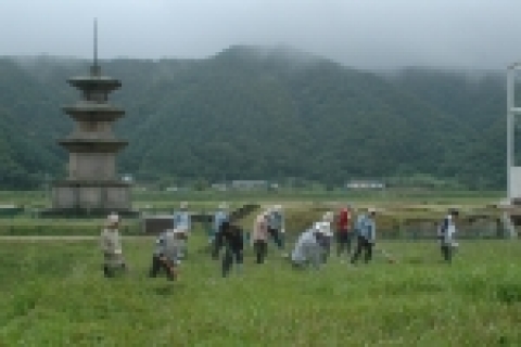 한국수력원자력 월성원자력 누키봉사대는 원자력발전소 주변에 있는 감은사지 3층 석탑 주변등 문화재를 찾아 정화활동을 펼치고 있다.