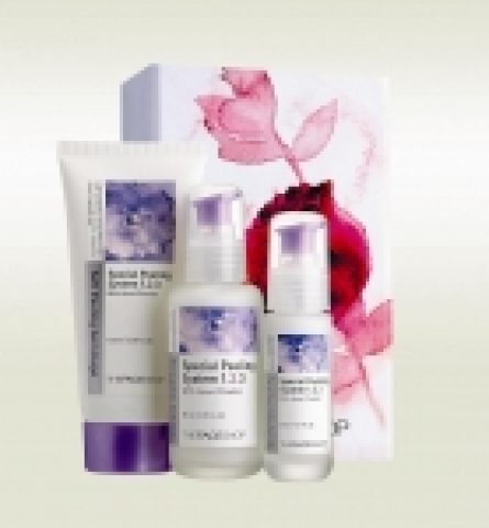 2.	스페셜 필링 시스템 1.2.3 기획세트