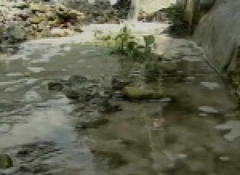 -거품이 떠 흐르고 있는 배내골-