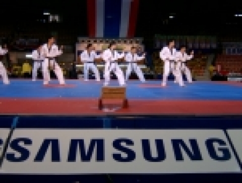 삼성전자가 14일부터 18일까지 태국 방콕 라자만갈라 국립경기장에서 열리는 제1회 2006 WTF(세계 태권도 연맹) 월드컵 태권도 팀 챔피언십 대회를 후원한다. 삼성전자는 이번 