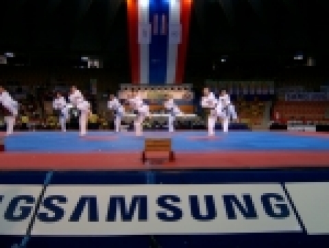 삼성전자가 14일부터 18일까지 태국 방콕 라자만갈라 국립경기장에서 열리는 제1회 2006 WTF(세계 태권도 연맹) 월드컵 태권도 팀 챔피언십 대회를 후원한다. 삼성전자는 이번 