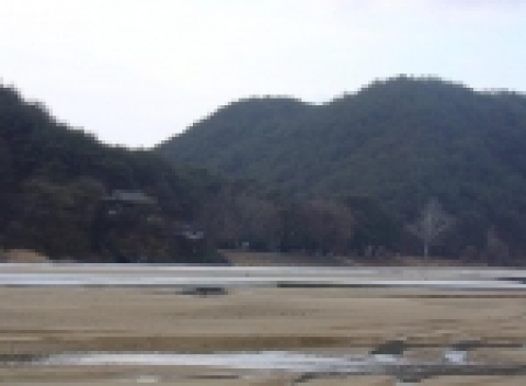 선몽대 및 선몽대 숲 전경