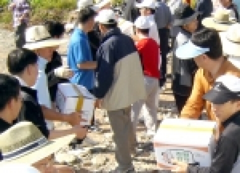기아자동차 정의선 사장 등 임직원이 강원도 평창군에서 감자캐기 및 감자상자 포장 등 봉사활동을 벌이고 있다.