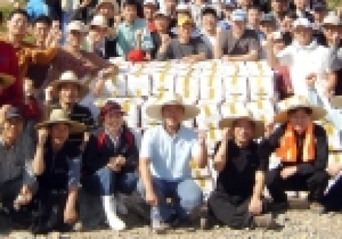 기아자동차 정의선 사장 등 임직원이 강원도 평창군에서 감자캐기 및 감자상자 포장 등 봉사활동을 벌이고 있다.